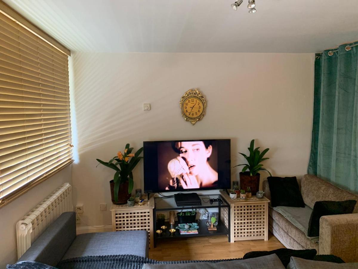 Garden Beautiful Cozy Flat , Recent Decorated. Londres Exterior foto