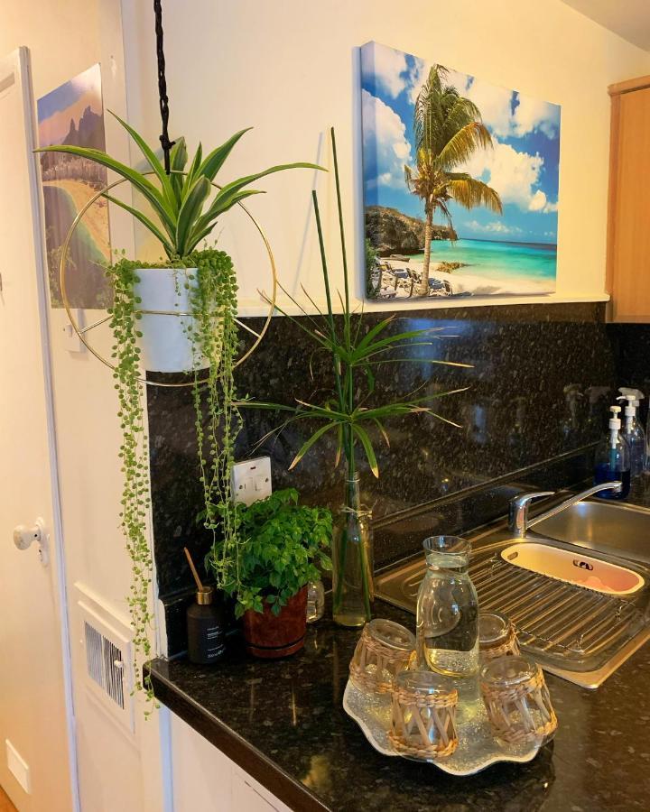 Garden Beautiful Cozy Flat , Recent Decorated. Londres Exterior foto